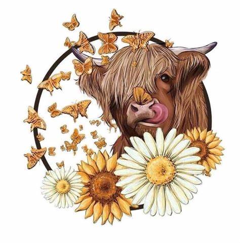 Highland Cow Sunflower