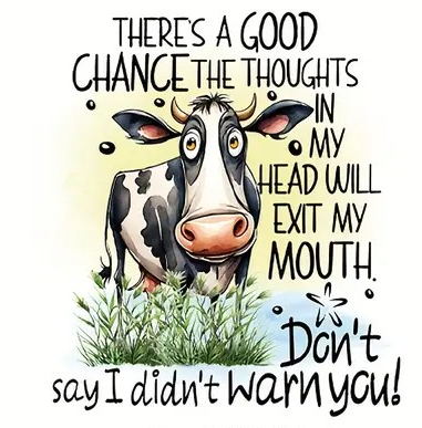 There's A Good Chance The Thoughts In My Head Will Exit My Mouth * Don't Say I Didn't Warn You!