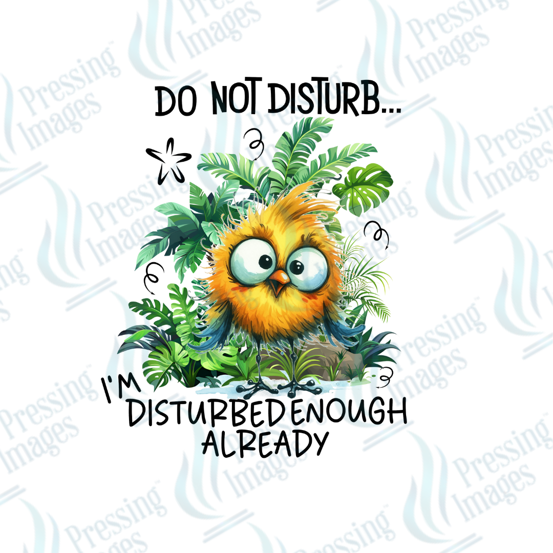 Do Not Disturb...I'm Disturbed Enough Already